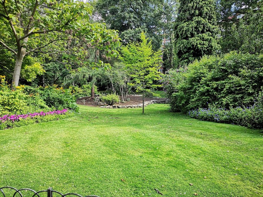 9 Best Things You Can Do to Improve Your Lawn The Vivant